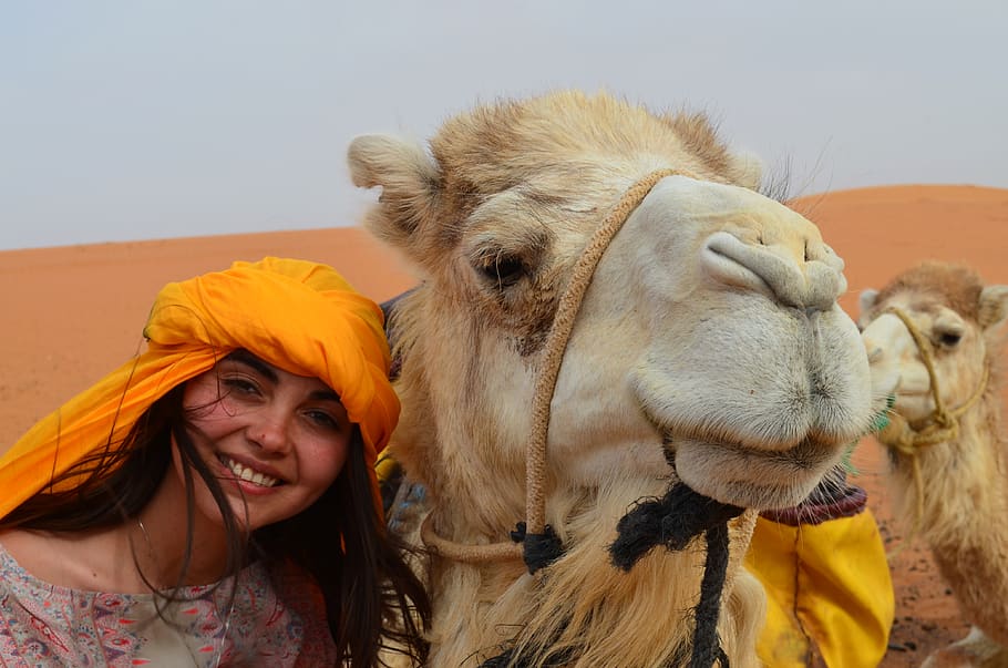maroc, merzouga, mammal, smiling, women, portrait, one person HD wallpaper