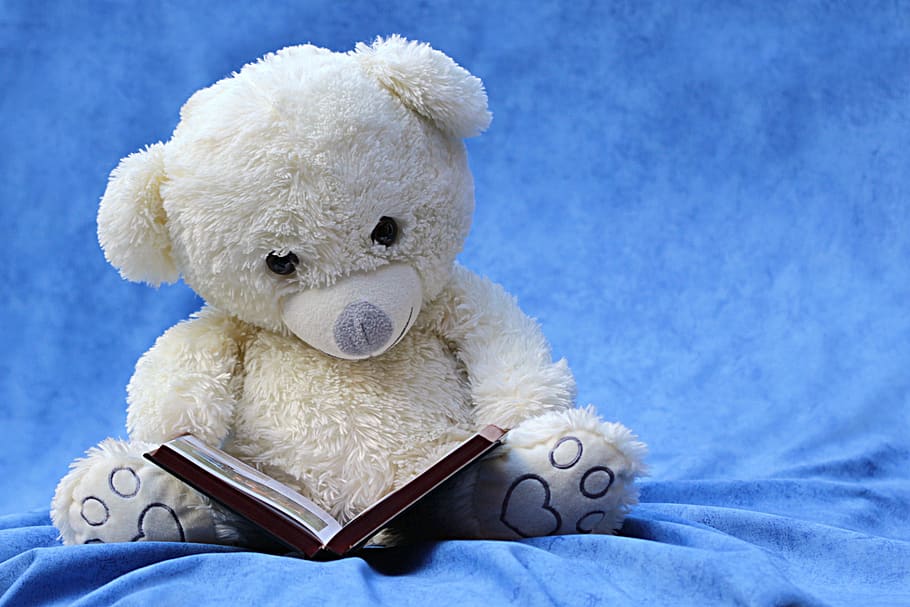 White Teddy Bear Reading Book, cloth, cute, plush toy, stuffed animal