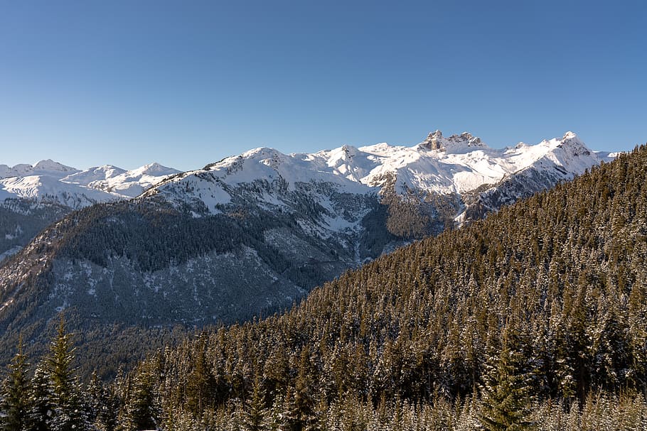 snowcapped mountain range, outdoors, nature, plant, tree, fir HD wallpaper