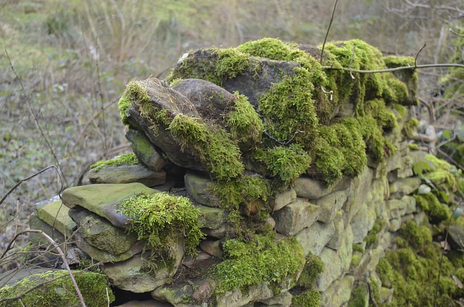 moss, stone, wall, waterfall, river, landscape, countryside HD wallpaper
