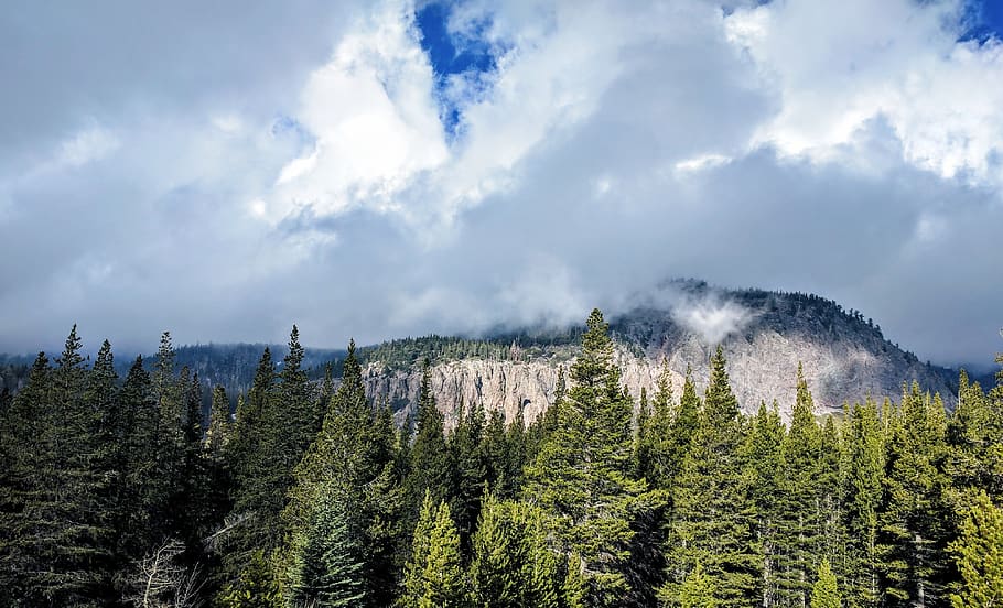 mountain near trees, cloud - sky, plant, scenics - nature, forest HD wallpaper