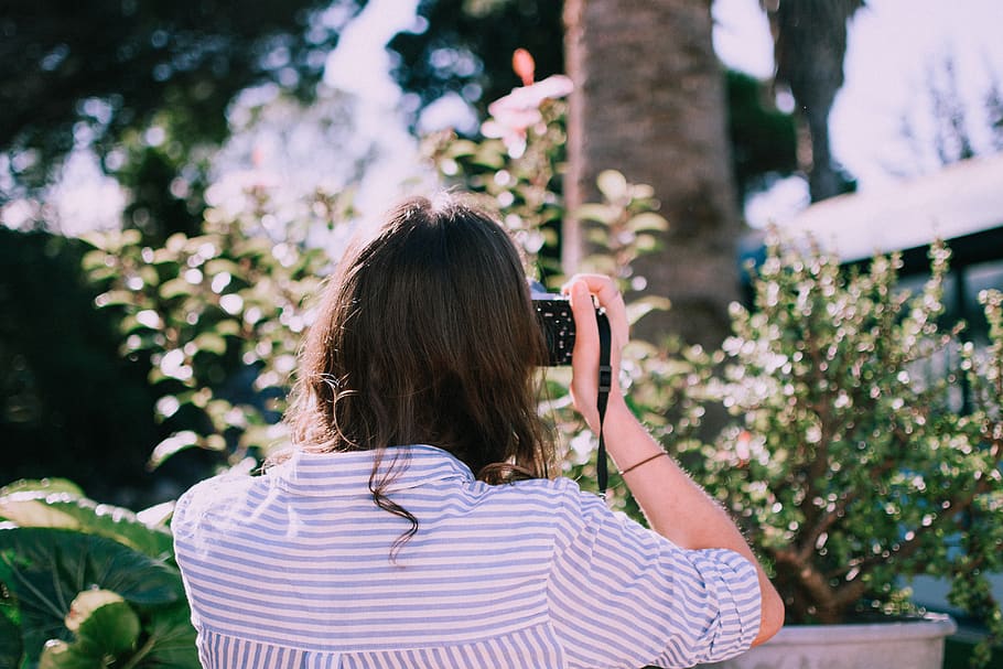 Woman Taking Photo of Green-leafed Plant Selective Focus Photography HD wallpaper