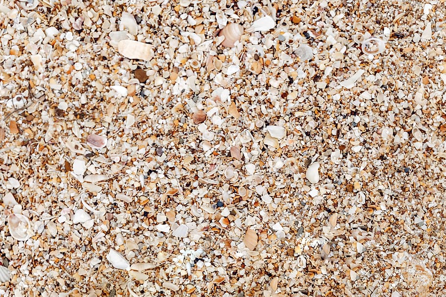 backdrop, background, beach, blank, brown, color, copy space HD wallpaper