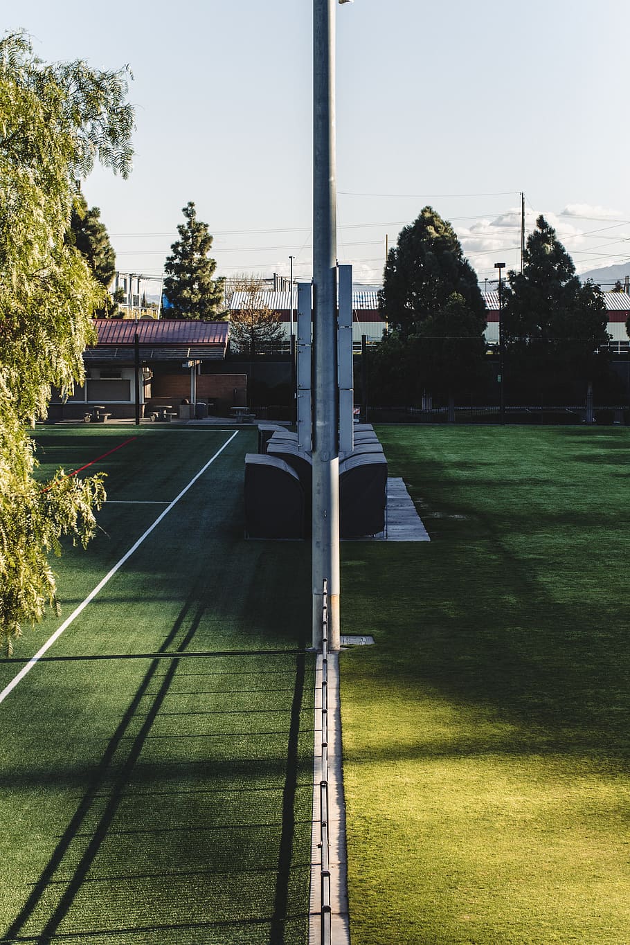 green grass field with gray metal post, plant, tree, road, lamp post HD wallpaper