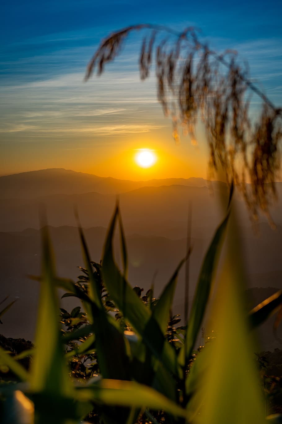 sunlight, flare, nature, outdoors, sunset, red sky, dusk, dawn HD wallpaper