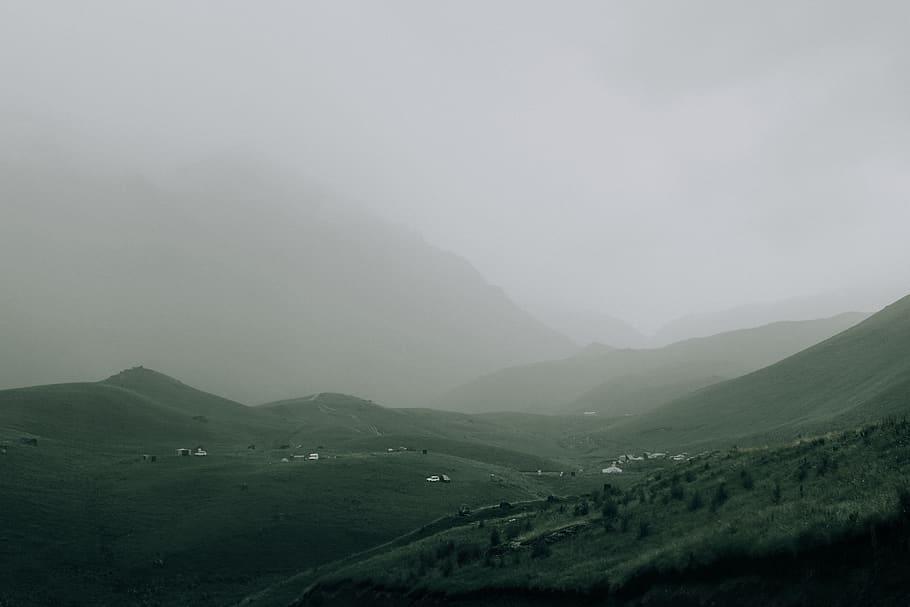 green trees on mountain, nature, outdoors, fog, russia, jilly-su HD wallpaper