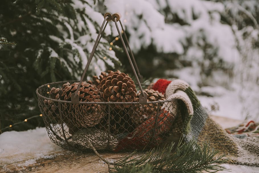 pinecones in basket, food and drink, winter, snow, cold temperature HD wallpaper