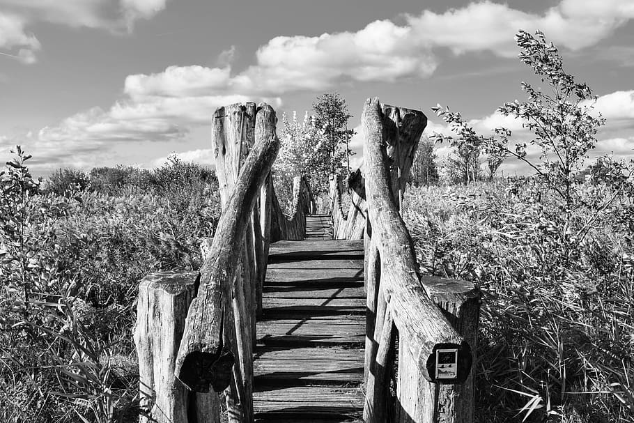 bridge, clouds, black white, landscape, plant, sky, cloud - sky HD wallpaper