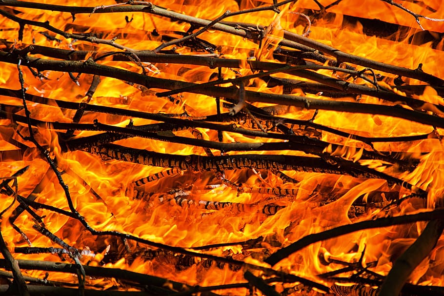 Burning Fire, nature, orange color, flame, heat - temperature HD wallpaper