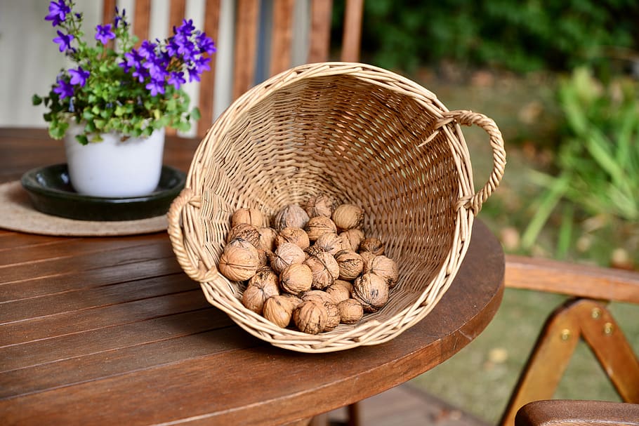 walnut, basket, autumn, container, wicker, flower, flowering plant HD wallpaper