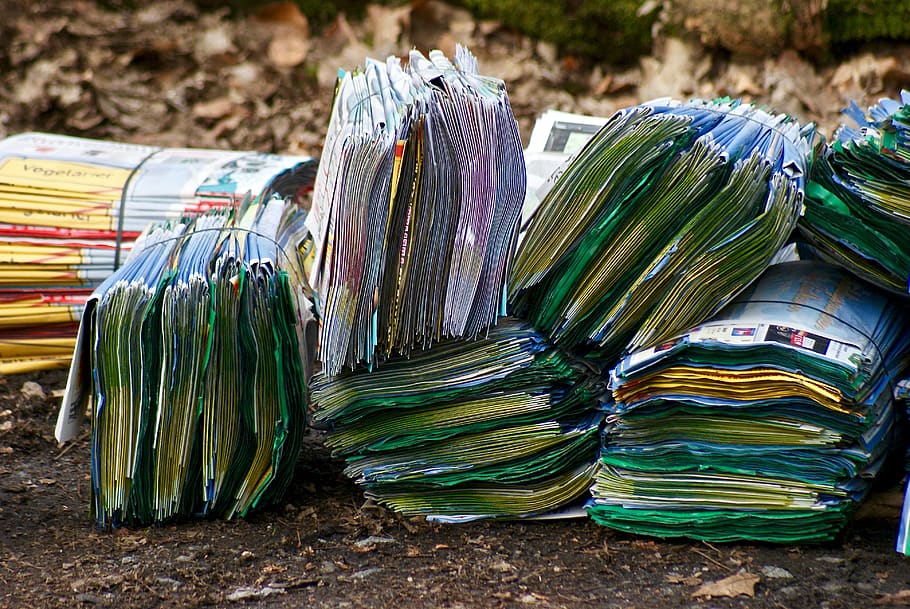 germany, frankfurt, bundle, forest, publish, woods, paper, large group of objects HD wallpaper