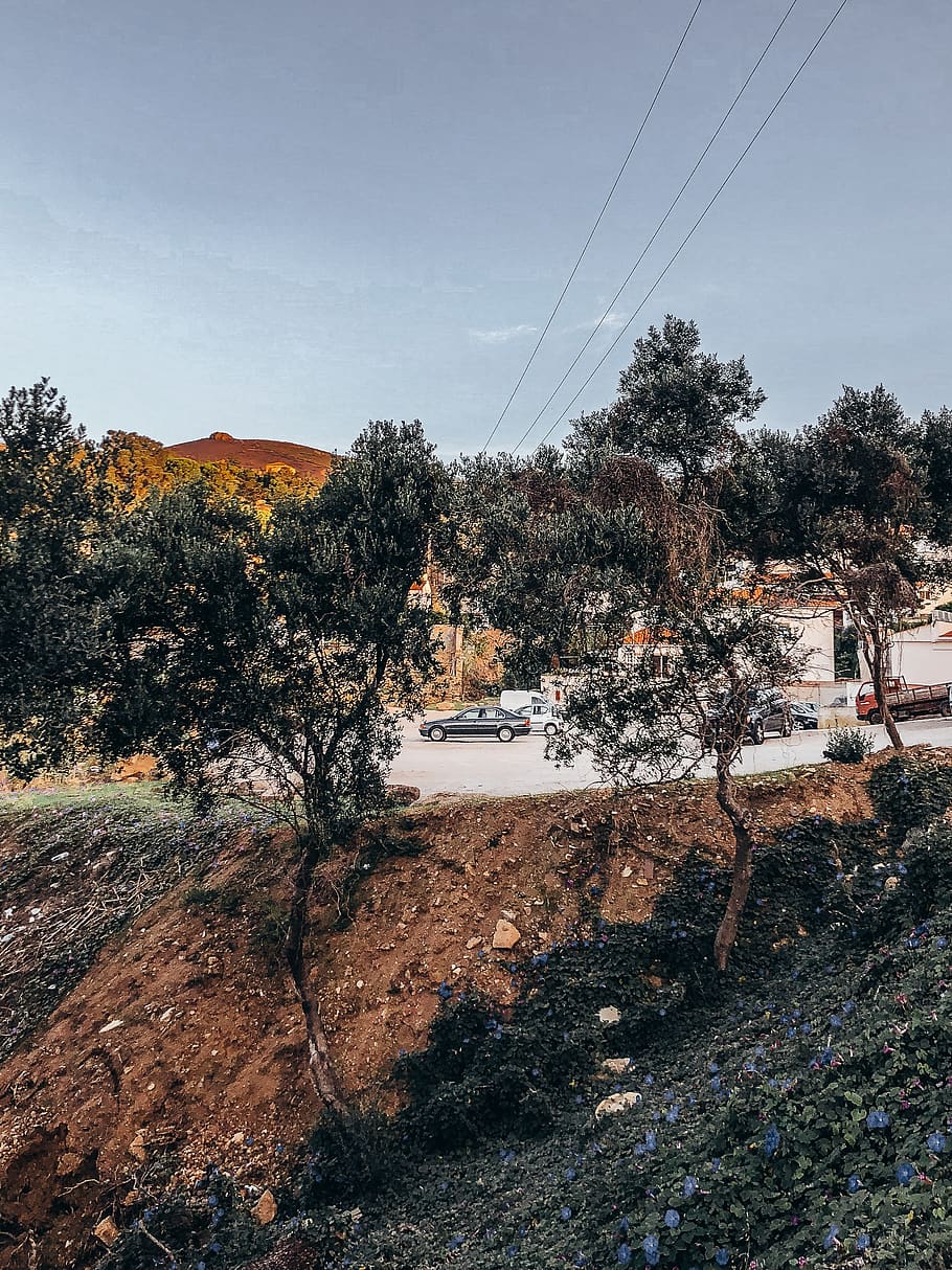 Trees on Roadside Cliff, environment, hillside, landscape, parking area HD wallpaper