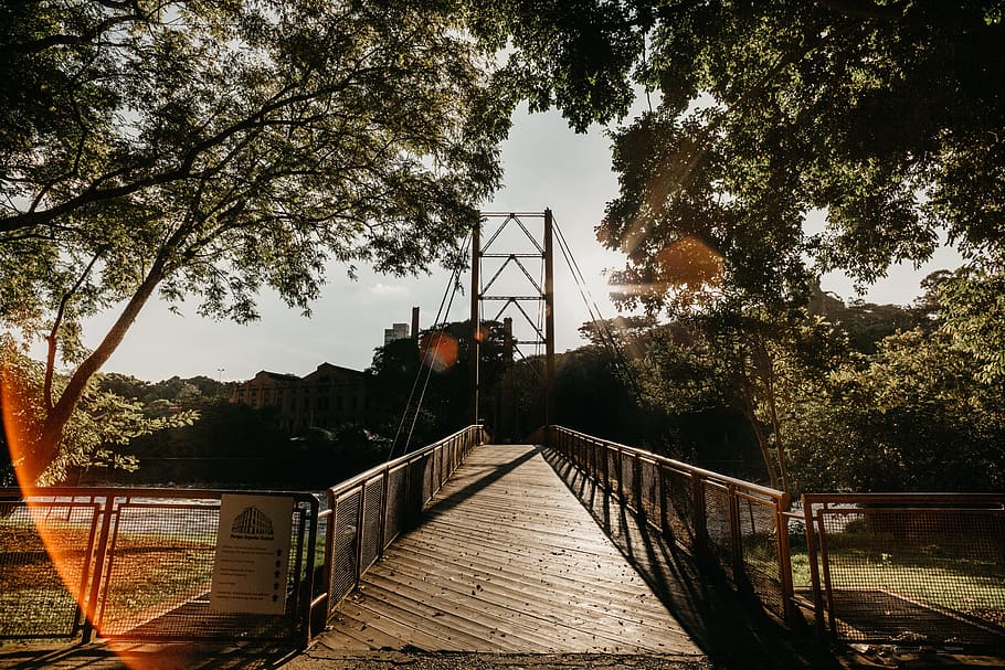 brown cable bridge, building, boardwalk, railing, banister, handrail HD wallpaper
