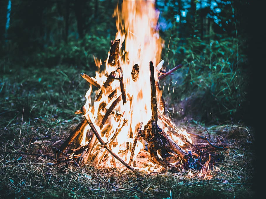 Bonfire on Forest Screengrab, blazing, burn, burning, campfire HD wallpaper
