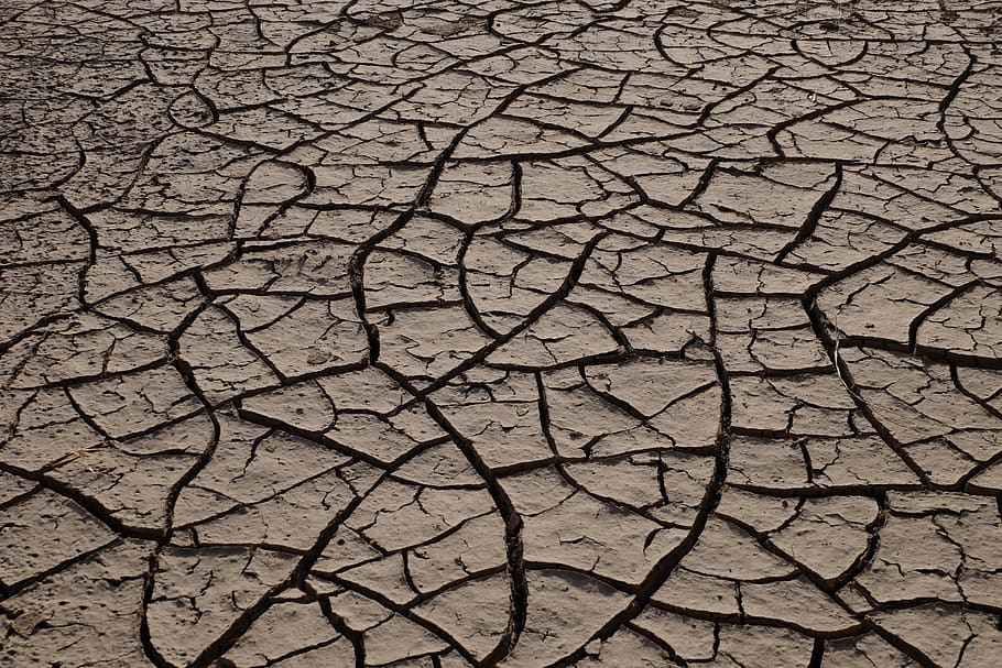 chapped, land, the earth, cracked, drought, arid climate, dry, HD wallpaper