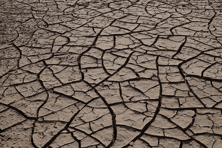 chapped, land, the earth, cracked, drought, arid climate, dry HD wallpaper
