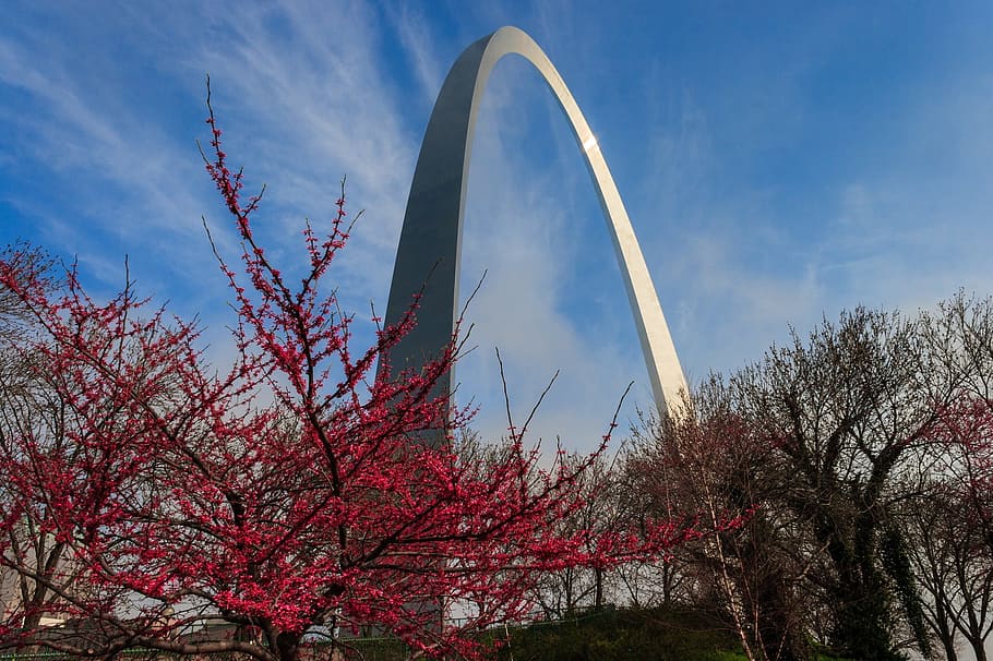 arch, gateway, construction, architecture, urban, tree, sky