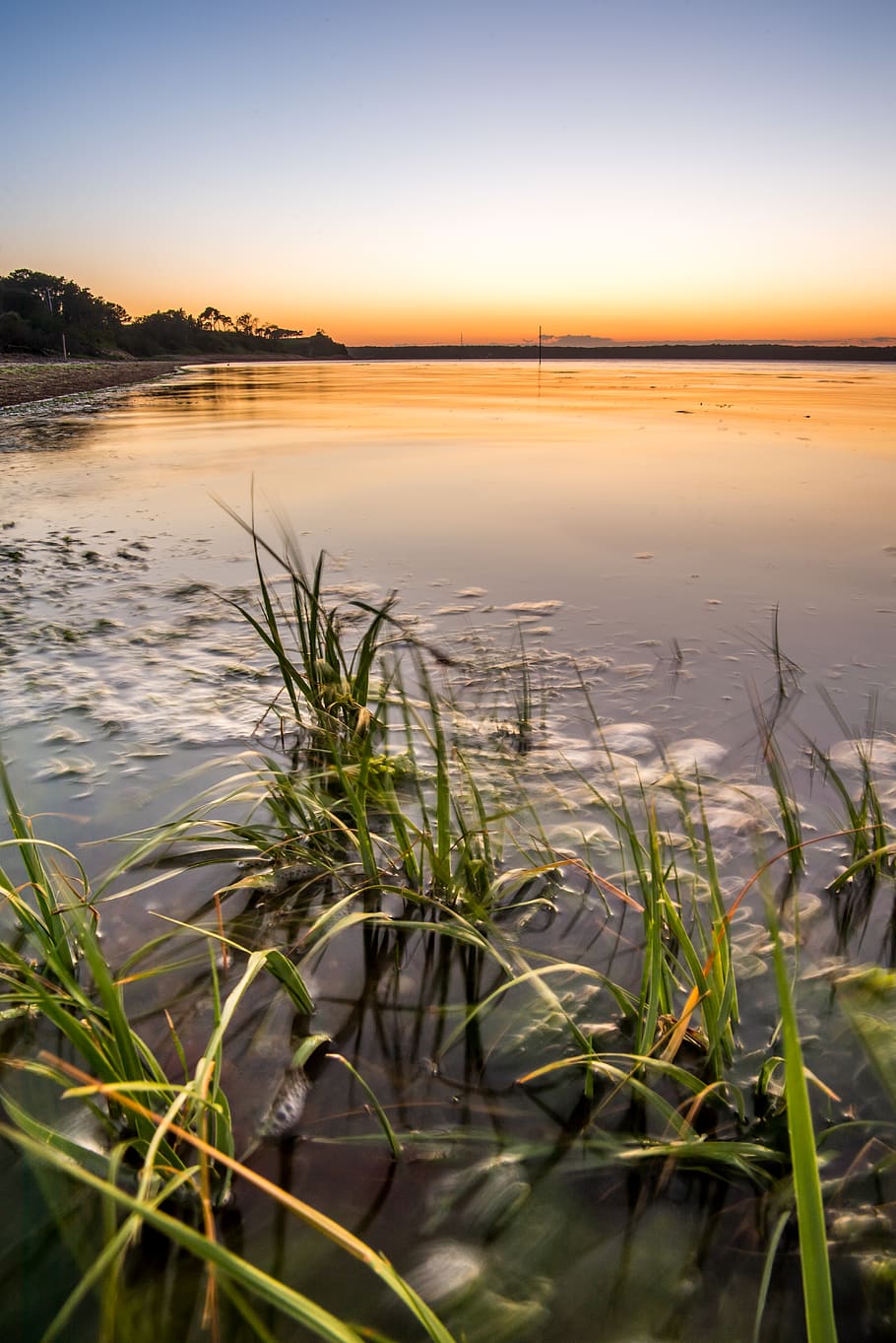 water, ocean, beach, grass, orange, blue, sky, beauty in nature HD wallpaper