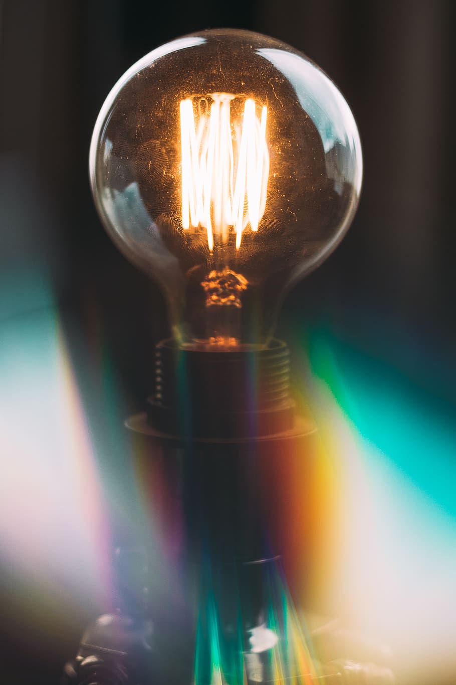 light, lamp, lightbulb, lighting, buzzard, hawk, animal, bird HD wallpaper