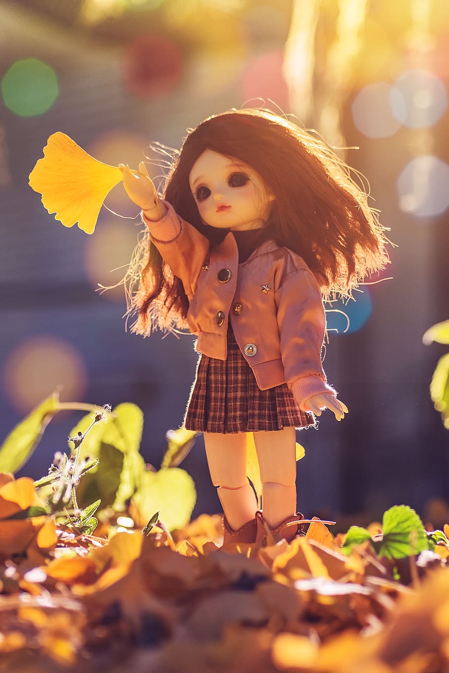 doll standing on brown leaves, toy, beijing, china, 布偶, human, HD wallpaper
