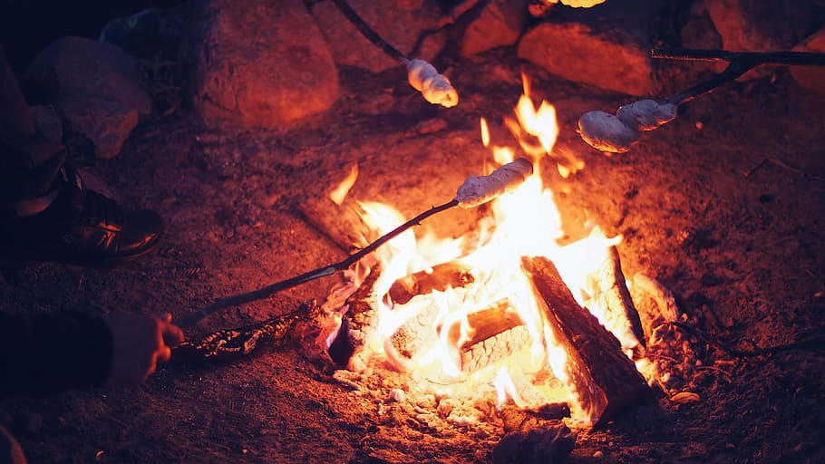 Barbecue on Bonfire, burn, burning, burnt, dark, flame, heat HD wallpaper