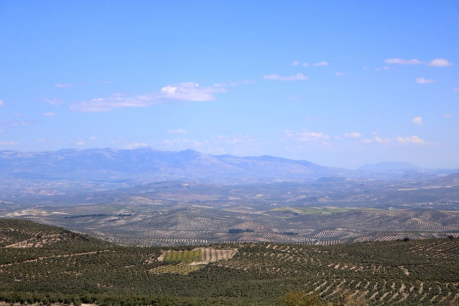 landscape, baeza, valley of the guadalquivir, jaén, andalusia, HD wallpaper