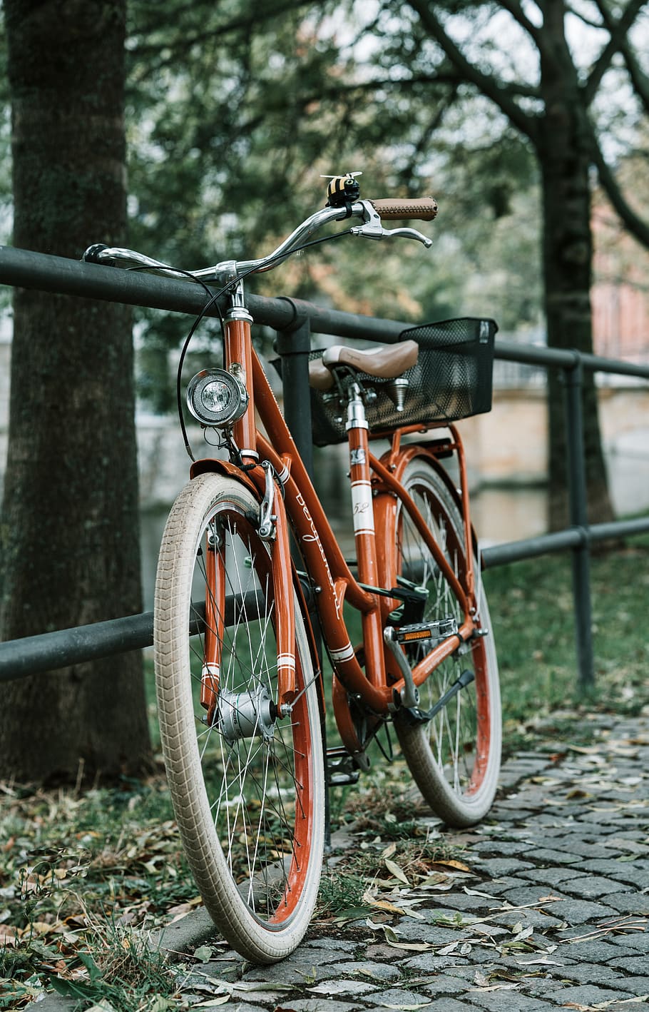 bike, means of transport, traffic, locomotion, wheel, cycling, HD wallpaper