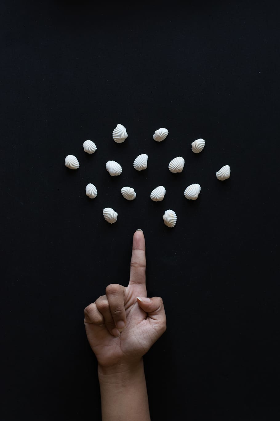 leader, finger, creativity, shells, flatlay, hand, studio shot HD wallpaper