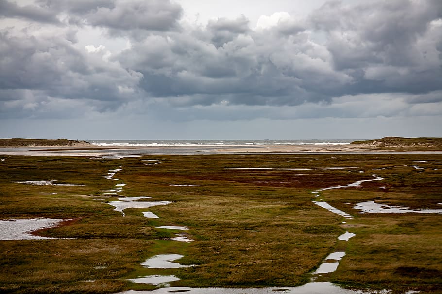 texel, netherlands, de slufters, nature, north sea, landscape HD wallpaper