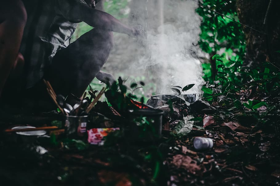 Video Game Scene, blurr, close-up, forest, garbage, green, rain HD wallpaper