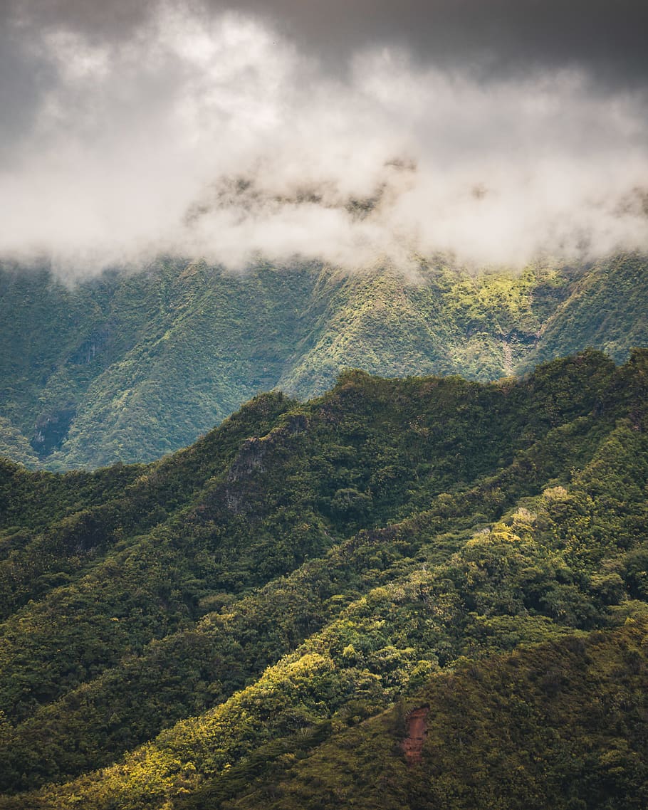 white clouds above green mountain, forest, ridge, outdoors, mountain range HD wallpaper