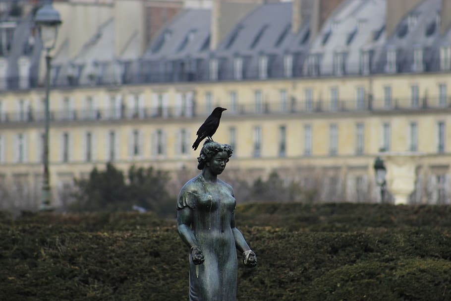 france, statue, sculpture, paris, monument, bird, louvre, architecture HD wallpaper