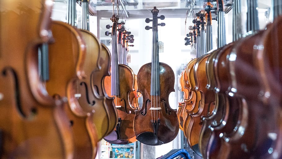 instrument, violin, stringed instrument, equipment, orchestra HD wallpaper