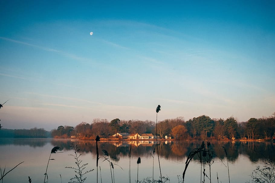 lake, trees, sunrise, reflection, brush, shore, moon, calm HD wallpaper