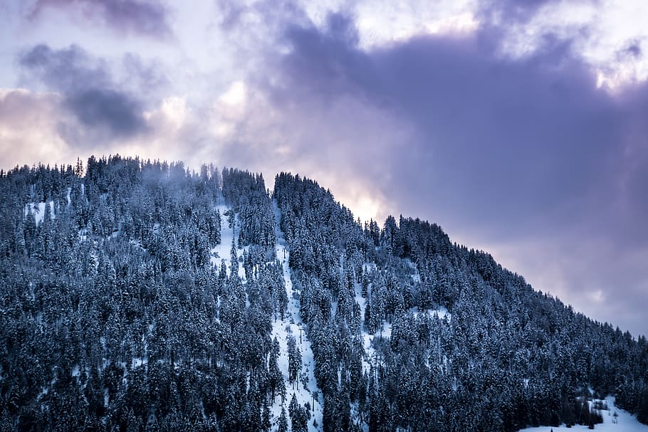 austria, nauders, alps, snow, trees, exopsure, sun, clouds HD wallpaper