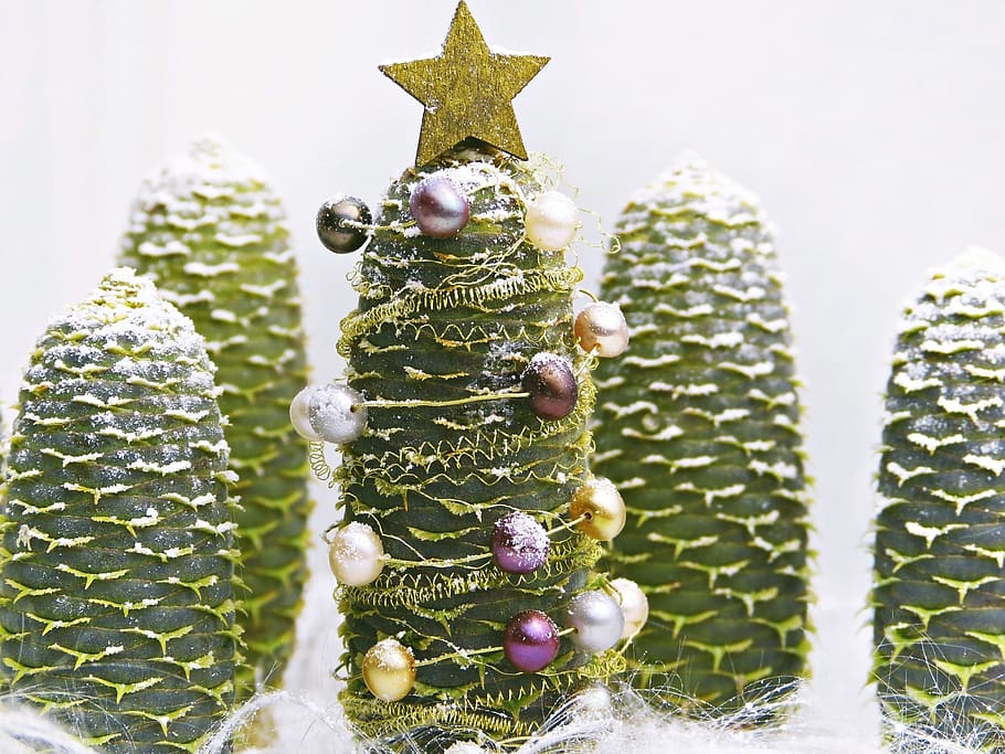 pine cones, christmas, tree decorations, snow, winter, advent HD wallpaper
