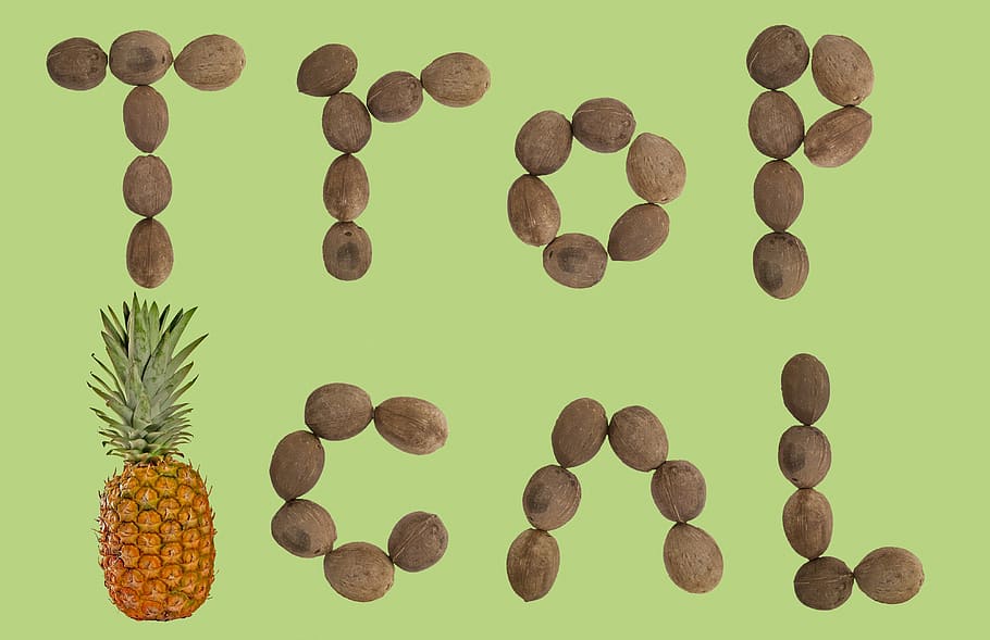 tropical, coconut, typography, green, pineapple, food, breeze HD wallpaper