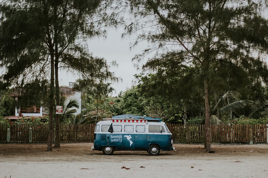 Van Parked in Between Trees, automobile, blue, combi, daylight HD wallpaper