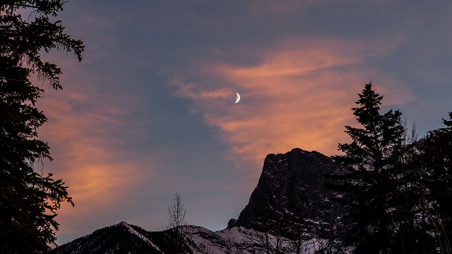 trees and mountains at night, silhouette, canada, canmore, flora HD wallpaper