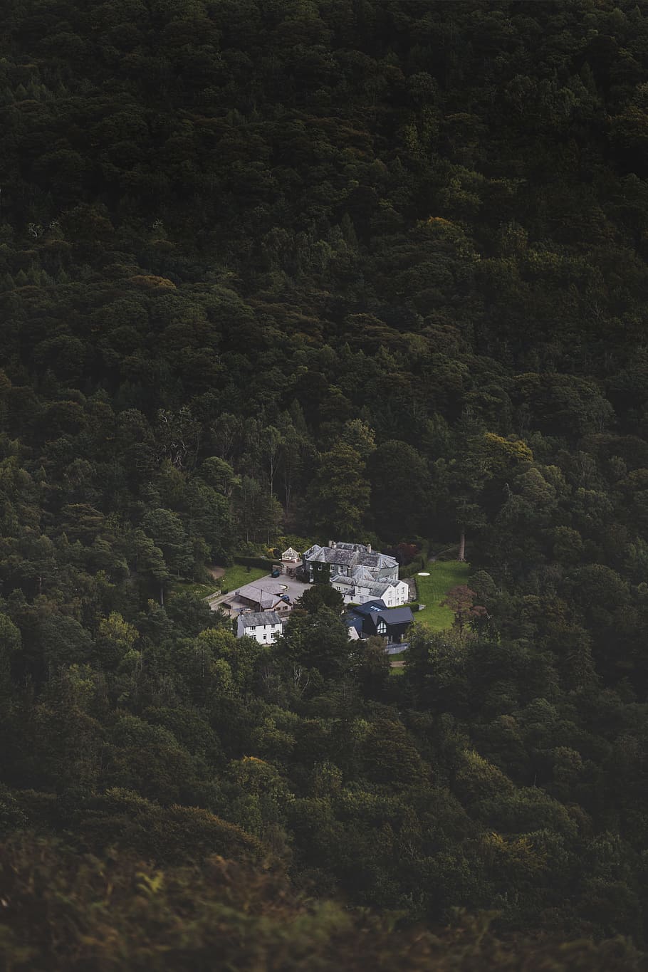 aerial view of village, drone view, tree, solitude, alone, green HD wallpaper