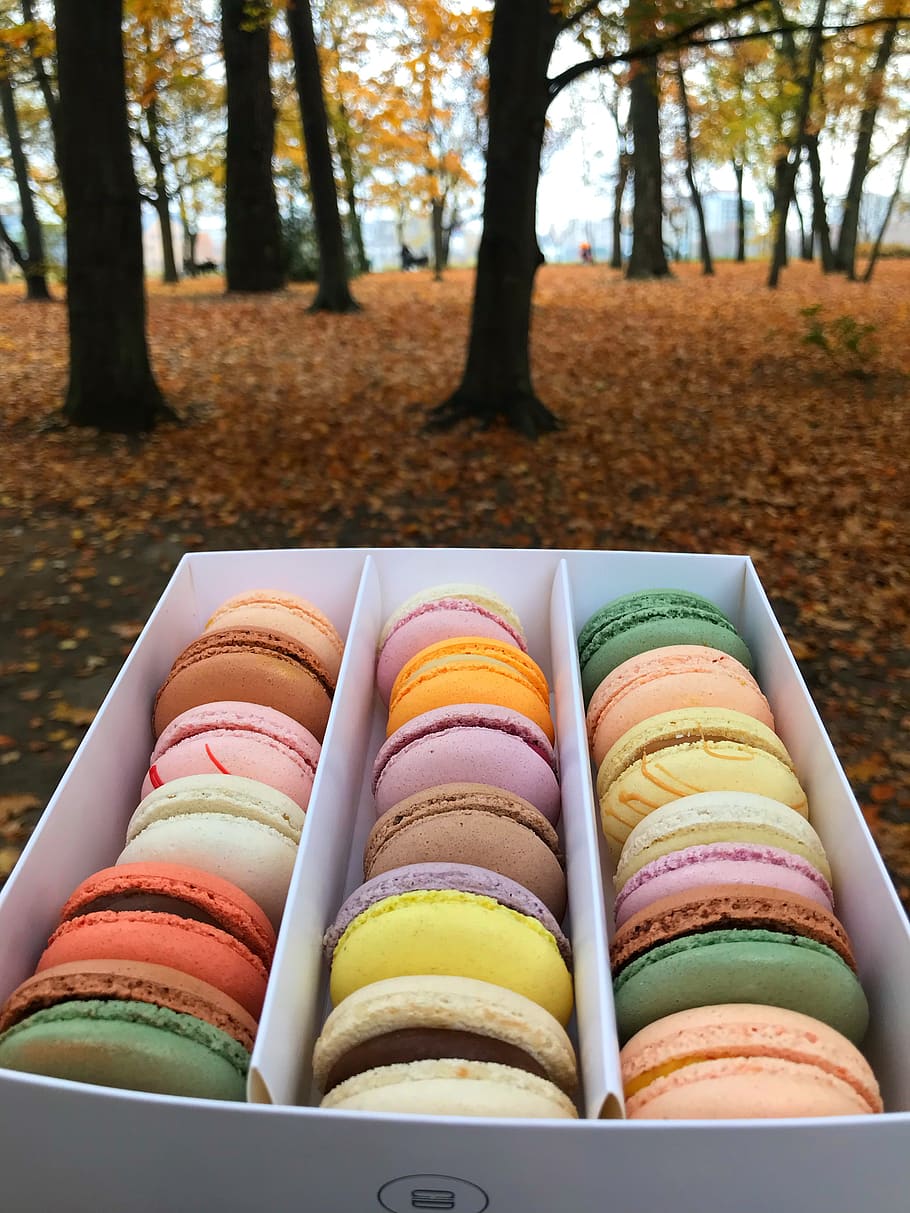 macaroons, colors, vanilla, multi colored, food, food and drink HD wallpaper