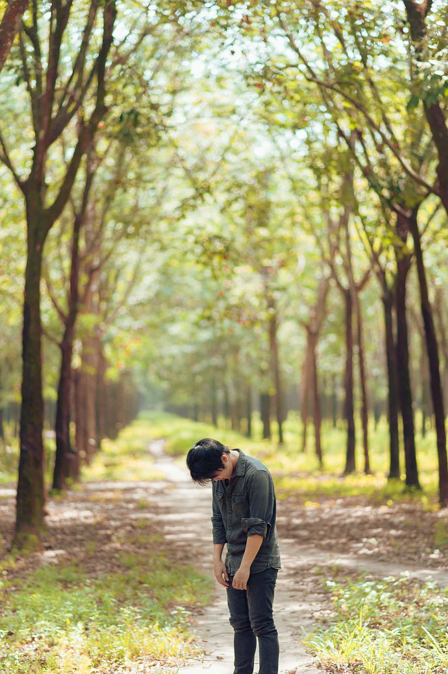 Photo Of Person Standing In Between Trees, alone, daylight, environment HD wallpaper
