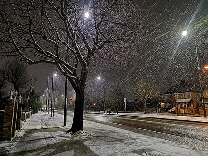 nature, snow, outdoors, path, weather, london, countryside HD wallpaper