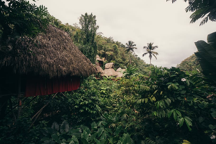 outdoors, nature, building, countryside, rural, hut, vegetation HD wallpaper