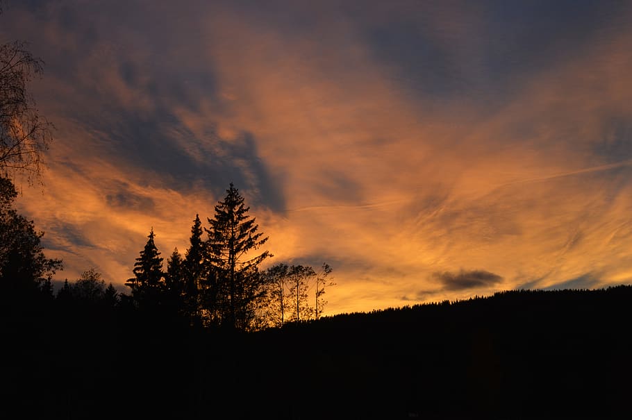 trees, sunset, landscape, silhouette, cloud - sky, tranquil scene HD wallpaper