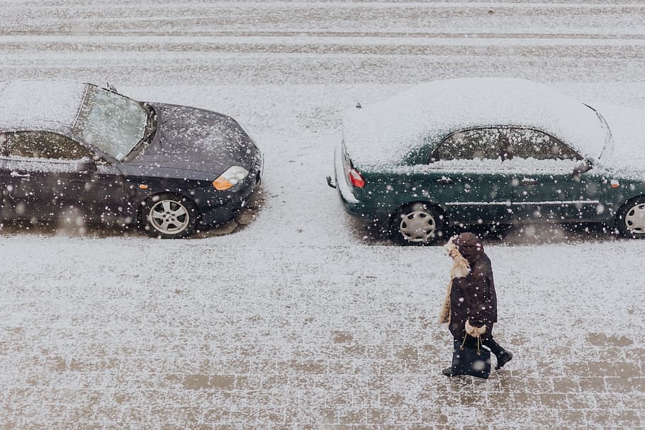 Snowy Street with Cars, white, town, city, winter, mode of transportation HD wallpaper