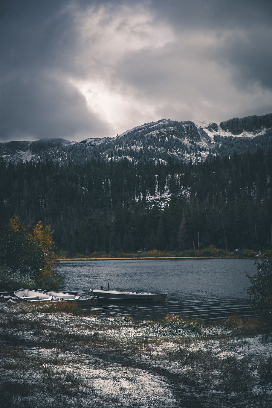 body of water, tree, plant, fir, abies, nature, outdoors, mountain HD wallpaper