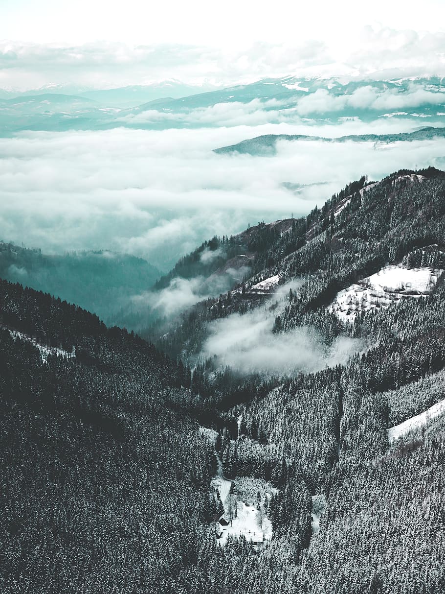 snow, landscape, fog, trees, mountains, moody, blue, cloud - sky HD wallpaper