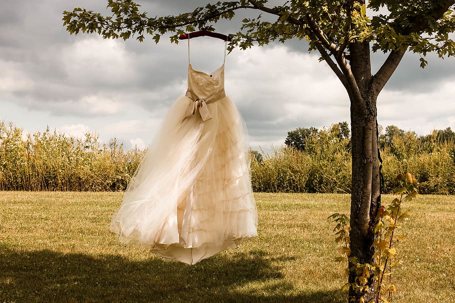 white wedding dress hanging on green tree, apparel, clothing HD wallpaper