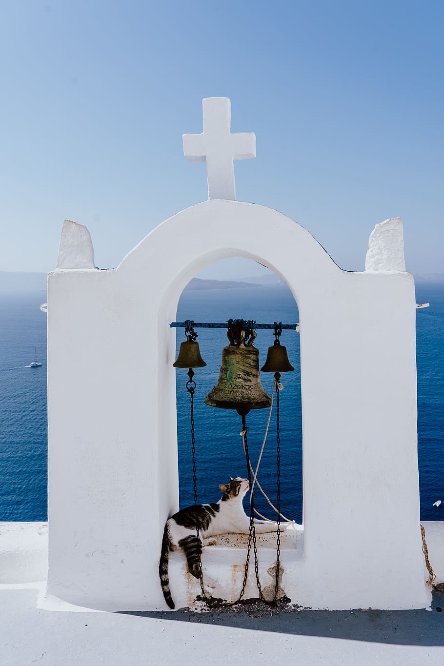 short-coated gray and white cat on gray bell, cross, sea, ocean, HD wallpaper